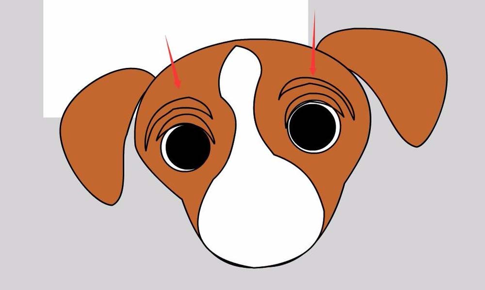 简单的flash小动画小狗图片