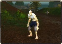 《魔兽世界》2014万圣节成就攻略大全