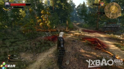 巫师3：狂猎图文通关攻略