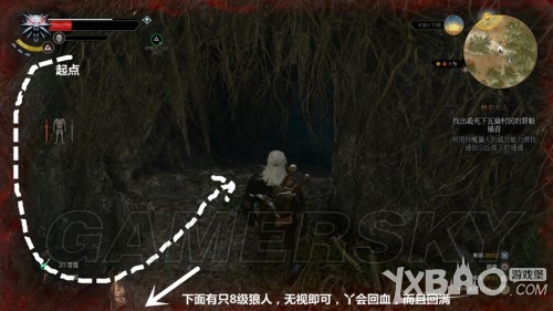 巫师3：狂猎林中夫人任务选择攻略