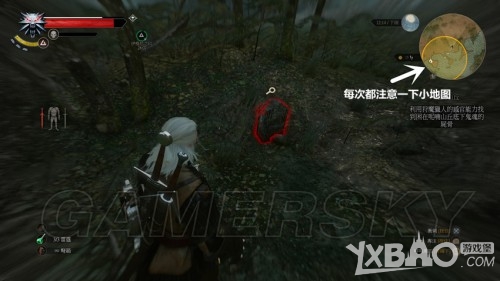 巫师3：狂猎林中夫人任务选择攻略