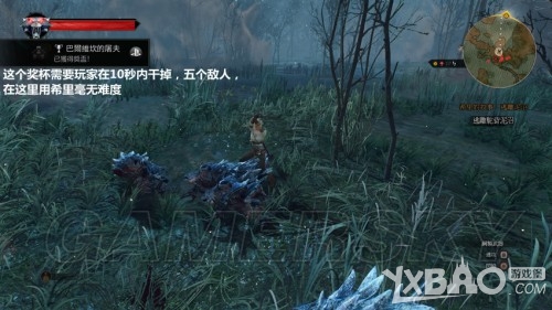 巫师3：狂猎林中夫人任务选择攻略