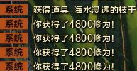 《天涯明月刀》周末四大活动攻略大全