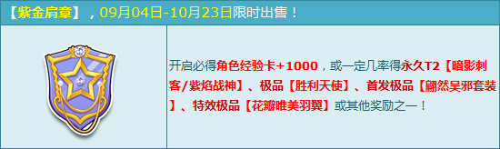 网络游戏,QQ飞车紫金肩章开启能得什么物品 包含的物品介绍,游戏攻略