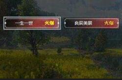 逆水寒新区一生一世和良辰美景选哪个好?
