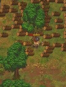 ��Ĺ�������ù��� ��ô���ٻ������