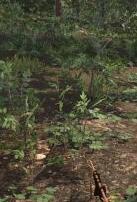 人渣好友服务器怎么进 服务器IP直连开黑方法图文攻略