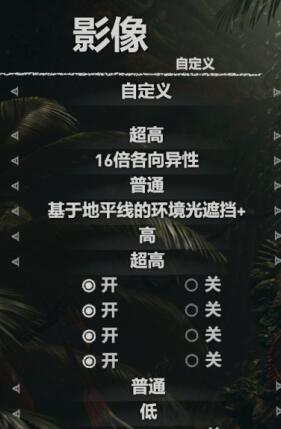 古墓丽影暗影A卡画面怎么设置 A卡画质优化设置方法