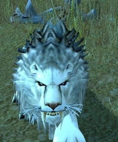 埃其亚基是一只白色的狮子,击败后捡取它的皮后