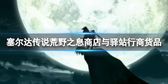 塞尔达传说荒野之息驿站行能买哪些道具？商店与驿站行商货品介绍