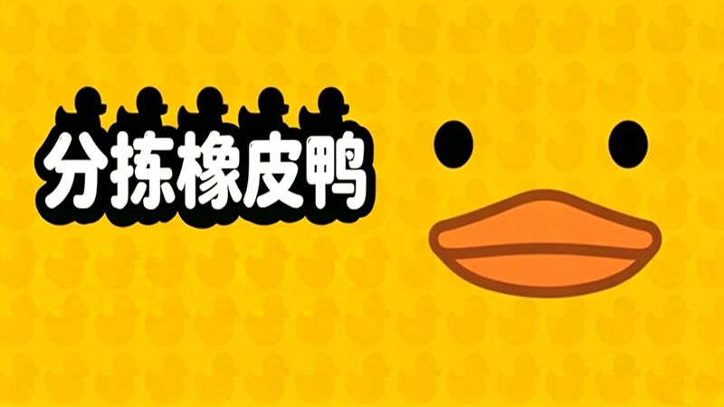 分拣橡皮鸭手游中文免费版(整理模拟游戏) Sort Them Ducks v1.9.2 安卓版