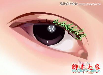 Illustrator网格工具绘制写实美女教程,脚本之家