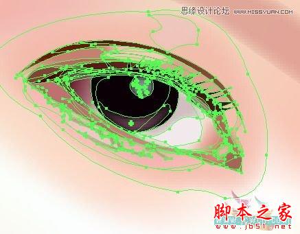 Illustrator网格工具绘制写实美女教程,脚本之家