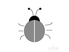 ai怎么绘制简笔画效果的甲壳虫? ai画甲壳虫的教程