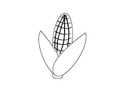 ai怎么手绘简笔画玉米图标? ai设计玉米logo的教程