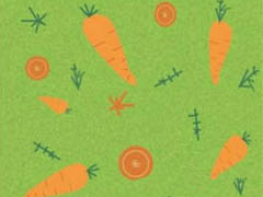 AI怎么手绘插画风格的胡萝卜海报? AI胡萝卜食物海报的画法