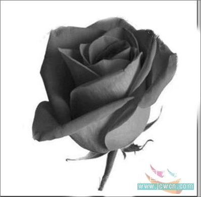 Photoshop教程：制作诱人的巧克力玫瑰