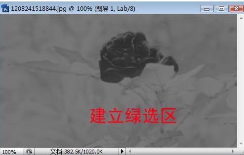 Photoshop照片选区的各种制作方法