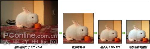 Photoshop CS3������Ƶ��GIF��������