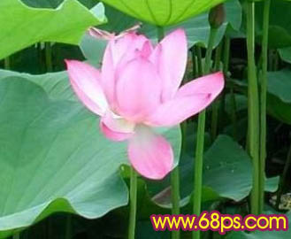 恭祝中秋团圆 PS绘制中秋贺卡