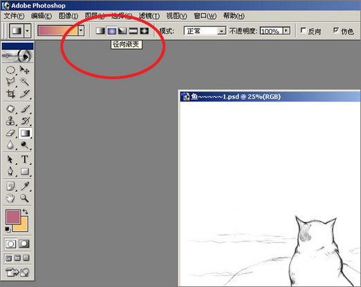 photoshop��Painter�ֻ�廭��������