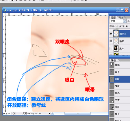 零基础鼠绘系列教程三之眼睛篇