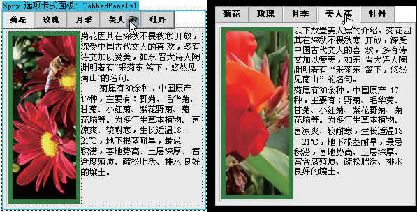 Photoshop制作网站首页(6):控制版面与插入Spry对象_脚本之家jb51.net转载