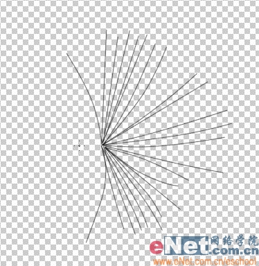 Photoshop教程:绘制美丽的蒲公英