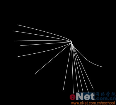 Photoshop教程:绘制美丽的蒲公英