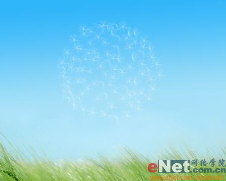 Photoshop教程:绘制美丽的蒲公英