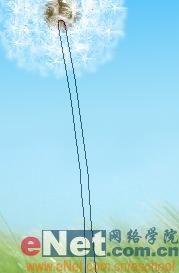 Photoshop教程:绘制美丽的蒲公英