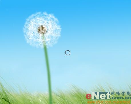 Photoshop教程:绘制美丽的蒲公英