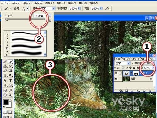 Photoshop图片合成实例:回归森林的老虎