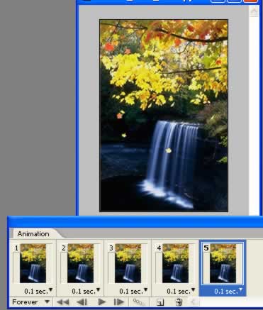 Photoshop制作秋风吹落树上的叶子动画