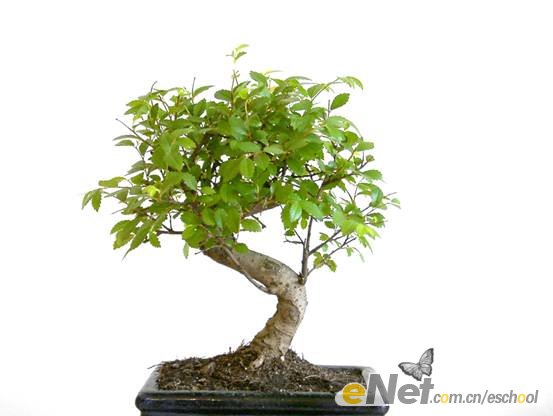 PS照片合成:创意合成杯中世界