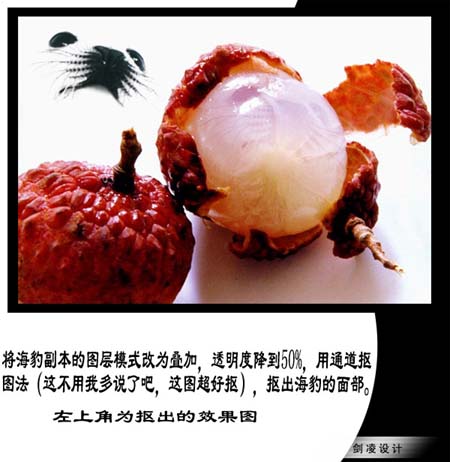 Photoshop照片合成：海豹脸型的荔枝