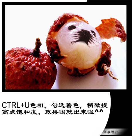Photoshop照片合成：海豹脸型的荔枝