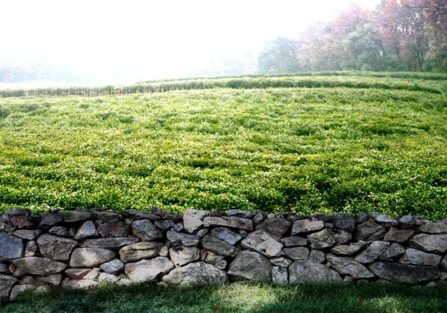 Photoshop照片合成教程:太极