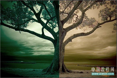 Photoshop调色：树木照片的冷暖色调