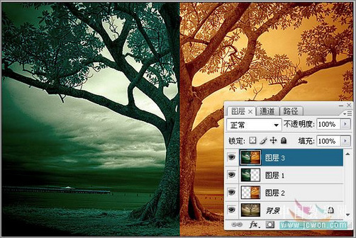 Photoshop调色：树木照片的冷暖色调