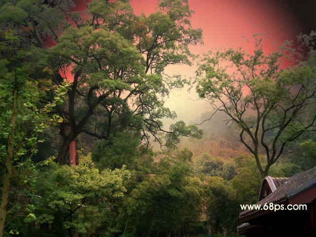Photoshop照片处理：树林中的光线