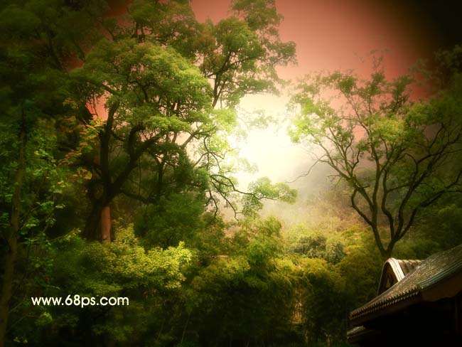 Photoshop照片处理：树林中的光线