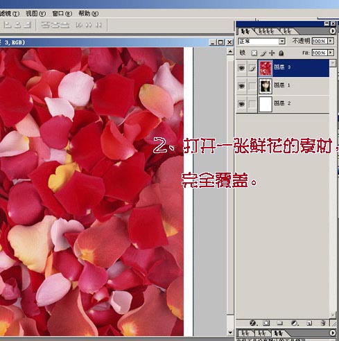Photoshop为MM数码照片做花落花开签名