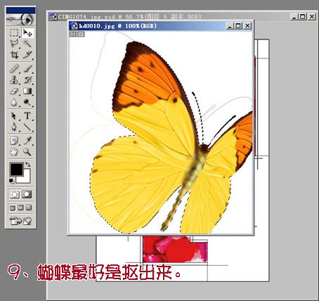 Photoshop为MM数码照片做花落花开签名
