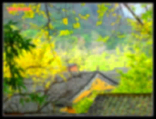 用Photoshop打造照片仙境晶莹之美