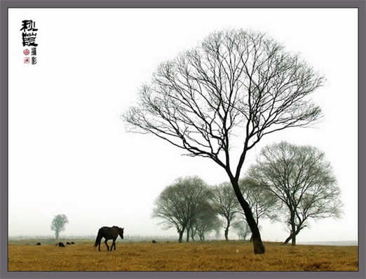 用Photoshop打造照片仙境晶莹之美