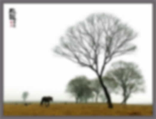 用Photoshop打造照片仙境晶莹之美