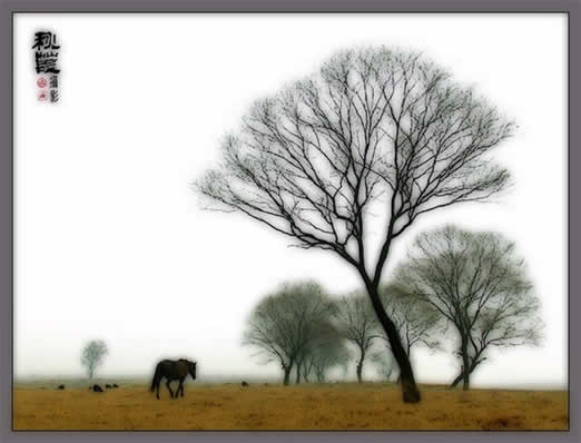 用Photoshop打造照片仙境晶莹之美