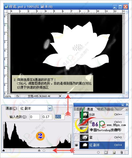 花卉照片处理 Photoshop照片处理教程_脚本之家jb51.net转载