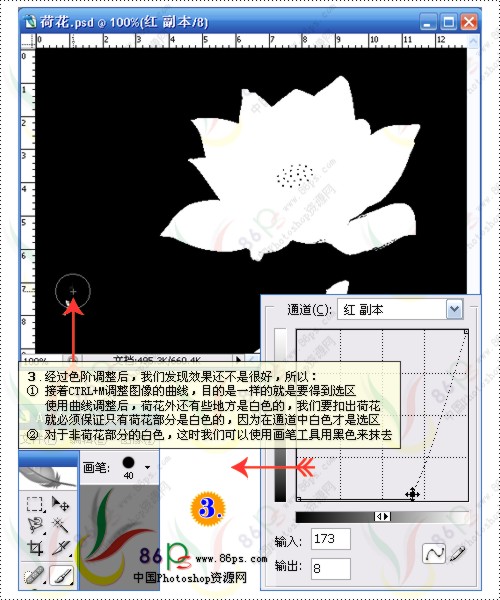 花卉照片处理 Photoshop照片处理教程_脚本之家jb51.net转载